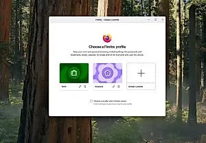 Firefox делит браузер на профили, спасая от цифрового раздвоения личности