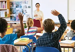 Разница в IQ у близнецов: роль школы