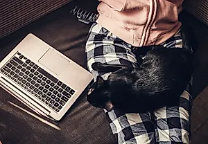 Пять лет удаленной работы? Давайте сравним с 25