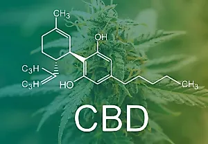 CBD: новая надежда для мозга