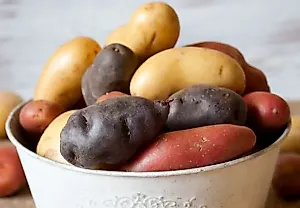 Секреты хранения картофеля: какие сорта лежат до весны