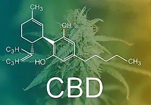 CBD усиливает негативные эффекты каннабиса при шизофрении: неожиданные выводы учёных