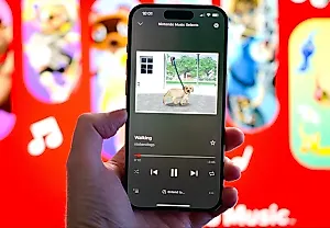 Nintendo создаёт хаос с приложениями