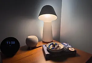 Zigbee 4.0: умный дом без головы и суеты