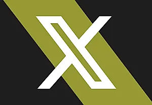 X устроила хаос с «О аккаунте»