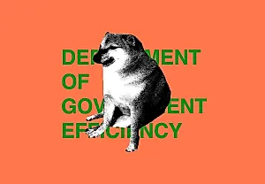 DOGE: хаос после ухода Маска