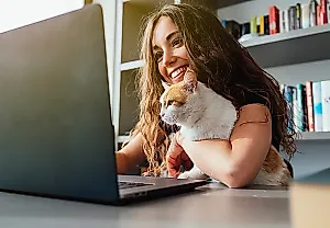 Коты в общежитиях