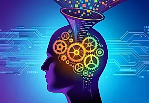 Иллюзия компетентности