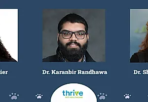 Thrive Pet Care: Супергерои среди домашних питомцев