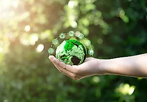 Фанаты загрязняют музыку