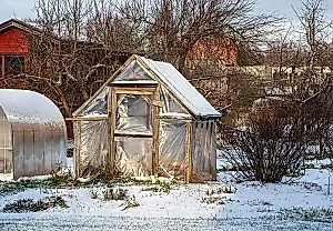 Лунный календарь садовода на декабрь 2024: что делать в огороде под Новый год