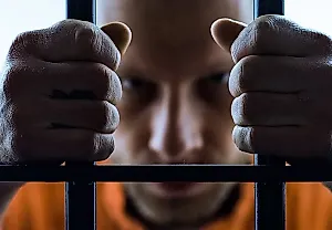 Не все психопатические черты ведут к сексуальной агрессии