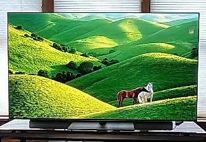 Победители и неудачники среди телевизоров 2025 года: OLED и нелепая борьба 8K