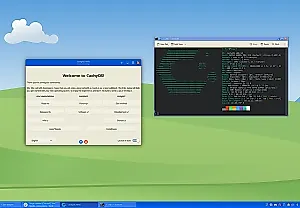 Как я перешёл с Windows на Linux и выжил