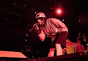 Департамент внутренней безопасности отвечает на критику певицы Billie Eilish по поводу ICE