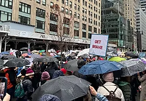 Планета протестов: как Трамп и Маск заставили людей собраться на митинги