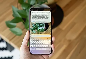 Apple проиграла гонку ИИ: настоящие испытания только начинаются
