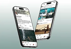 TikTok лихорадит, пользователи бегут