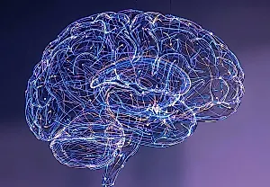 Локальные связи мозга оказались важнее общей эффективности для интеллекта — крупное исследование рушит стереотипы