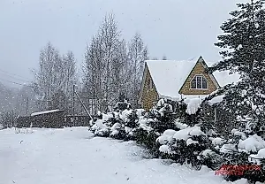 Адресный роман с дачей