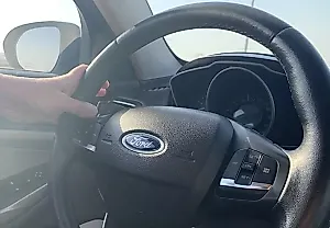 Ford и китайский след