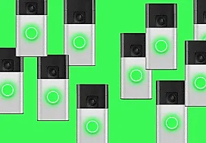 Кольцо всевидящее: как Amazon превращает поиск потерянных собак в тотальный контроль над районами