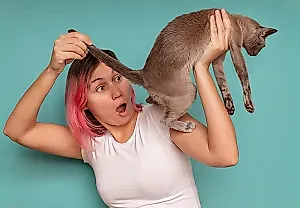 Почему у кота краснеет попа