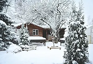 Весенняя дачная коварность