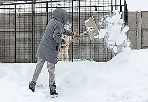 Соседский снегопад