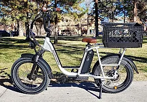 Rad Power Bikes получает второго дыхания