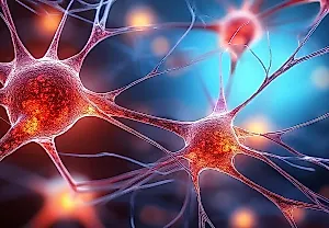 Один укол DMT возвращает мозгу жизнь
