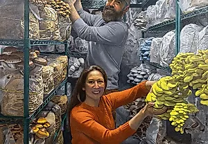 Художница, кормящая город