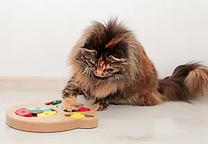 6 Умных Игр для Кошек: Рекомендации Ветеринаров