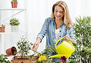 Весенняя казнь для комнатных цветов