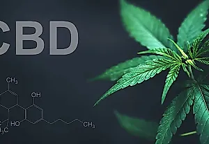 CBD против алкоголизма