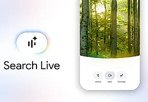 Search Live по всему миру