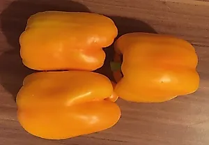 Перцы, которые не сдаются