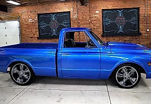 Глянцевый зверь C10