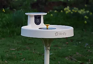 Тест Birdfy Bird Bath Pro