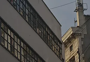 Чили режет культуру под корень
