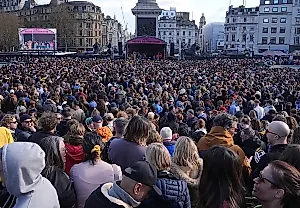 Звёзды против ультраправых