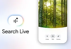 Живой поиск Google без поисковой души