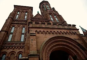 Трамп и музейный трон