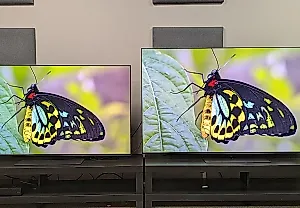OLED-двоеборье