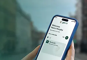 Цифровой кошелёк Ирландии