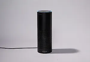Как Echo научился говорить