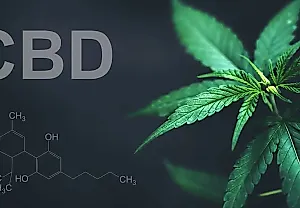CBD: волшебное средство для улучшения утра или обычная уловка?