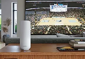 Netgear получает монополию на роутеры в США