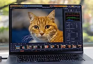 DaVinci Resolve 21 против Lightroom: битва за фото