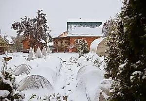 Замерзнуть не дадим: как спасти дачу от апрельского сюрприза